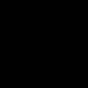 Meet your Posher, Bronwyn